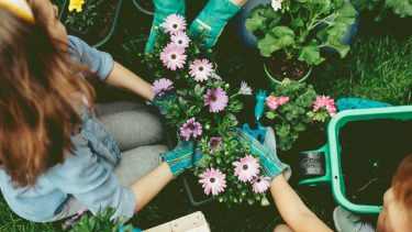 Women in garden gloves plant flowers