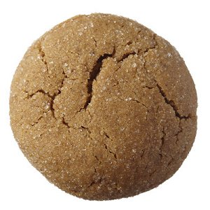 Sugar Crackle Gingerbread Cookie