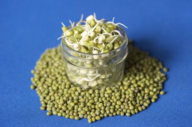 mung beans, bean sprouts, sprouted