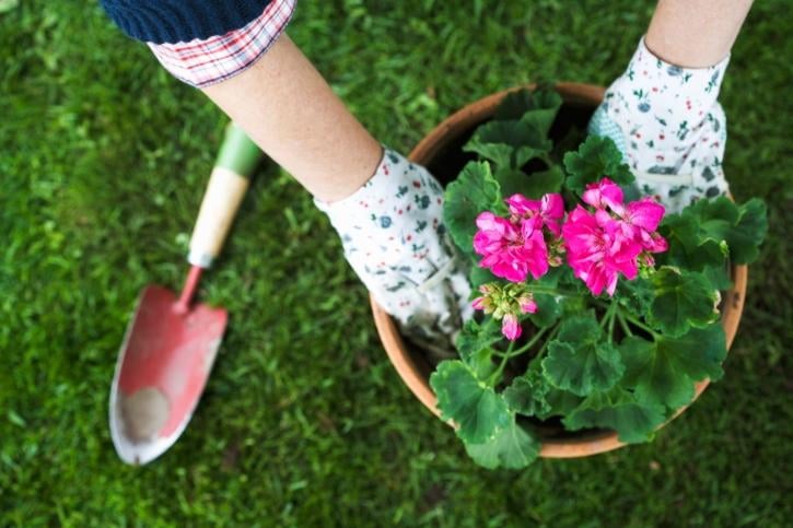 16 tips to get your garden ready for spring