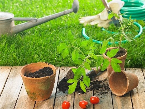 How to make homemade weed-killer and more gardening tips