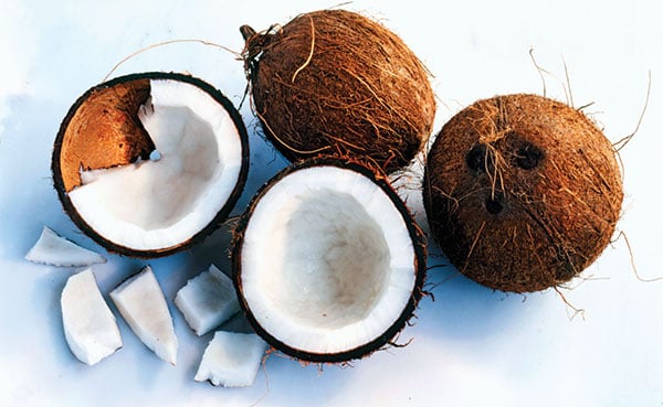 Coconuts-for-coconut-oil