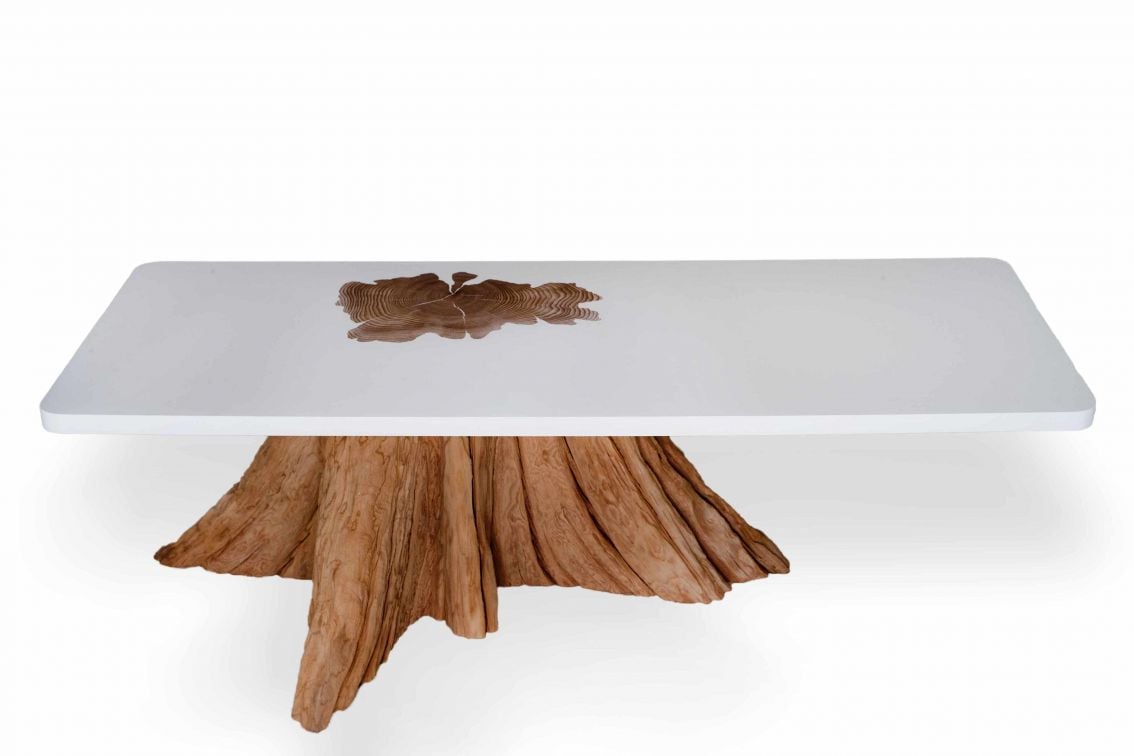 Coffee table with tree trunk MTH Woodwords cedar base