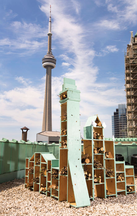 Fairmont-Hotel-Toronto-rooftop-bees