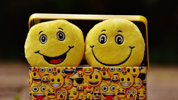 happy marriage-happy plush faces in a happy face tin box
