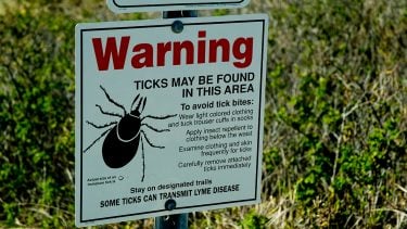 A sign warning of ticks. Lyme disease is on the rise in Canada.