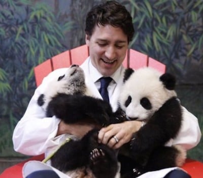 Justin Trudeau with pandas