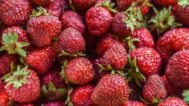 loose strawberries