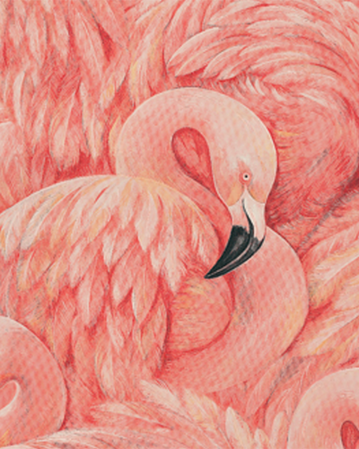 Flamingos wallpaper