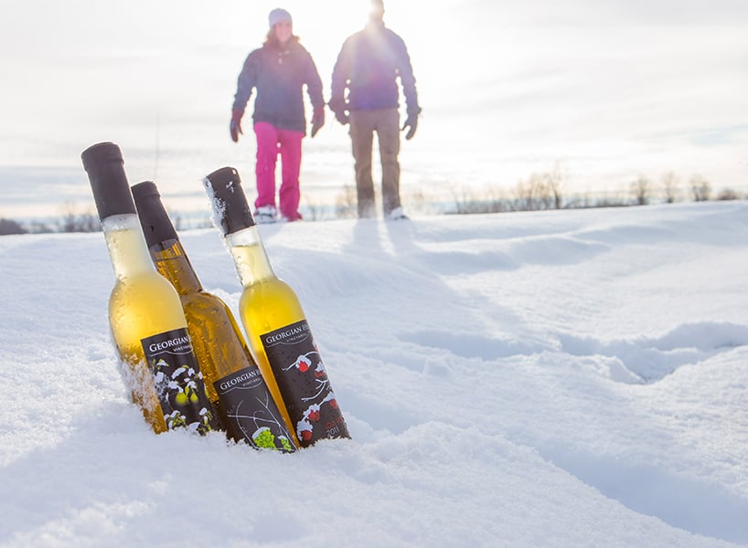 best outdoor winter activities-two couples snowshoe toward bottles of ice wine
