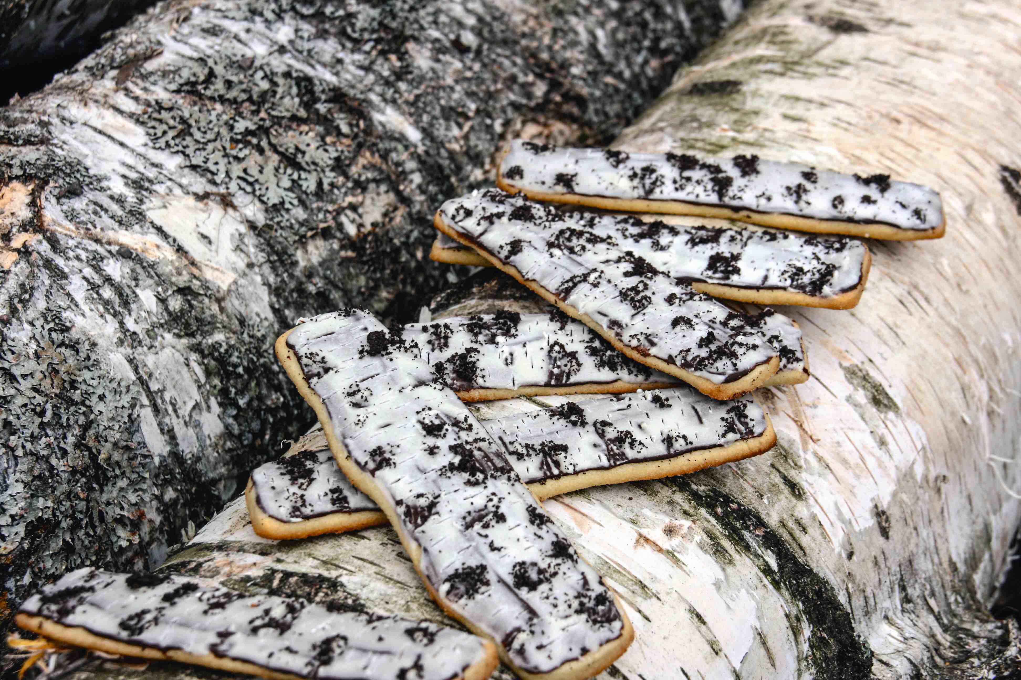 Birch bark cookies on birch branches.
