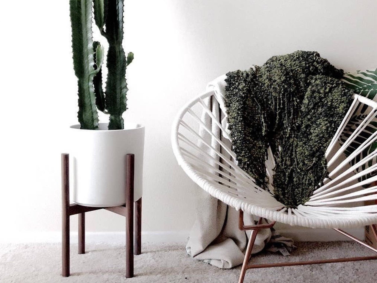 Plant stand by Hook and Stem Co.
