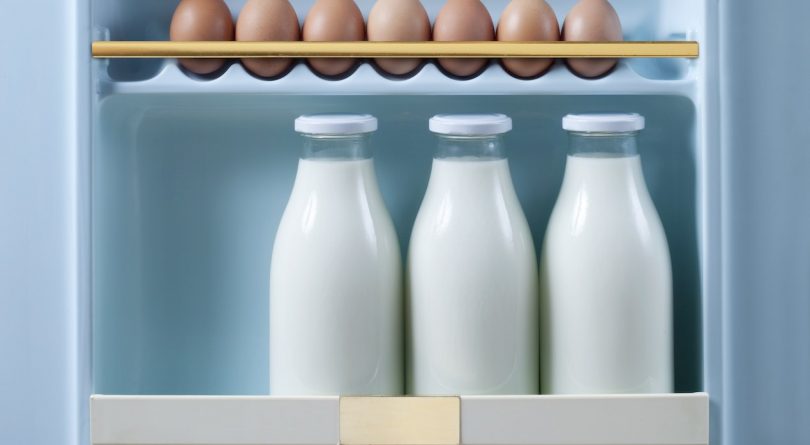 Expiry dates: 3 bottles of milk and brown eggs in retro fridge door