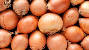 Types of onions: pile of yellow onions