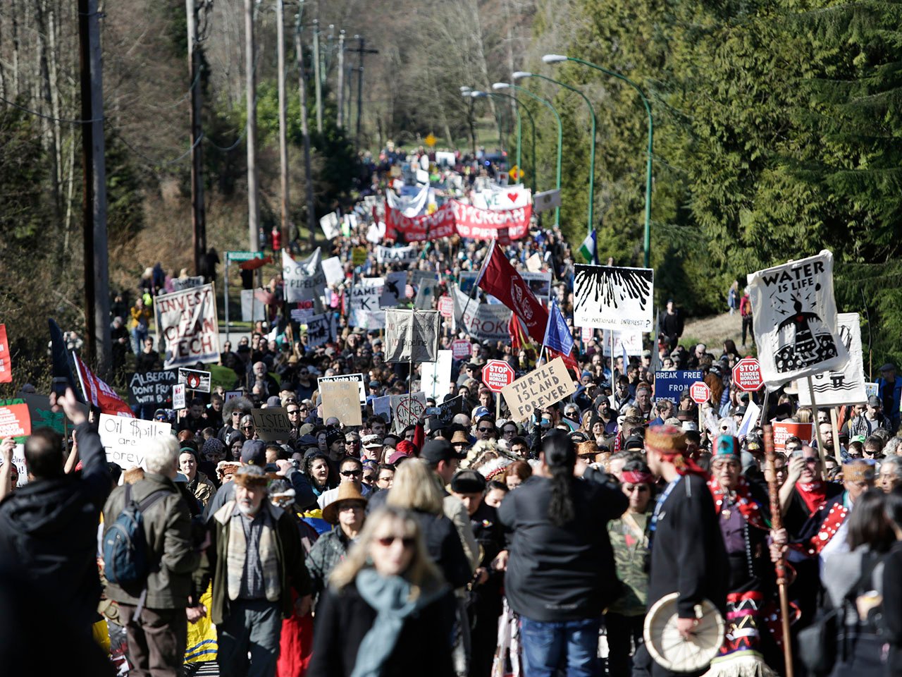 Everything you need to know about pipelines in Canada: Protestors march with signs through a forest-lined road