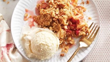 Rhubarb-apple crisp with vanilla ice cream for a piece on the best rhubarb recipes