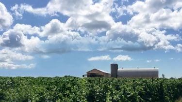 Photo of Hinterland Wine Company in Hillier, Ontario. Sunny day with blue skies and clouds.