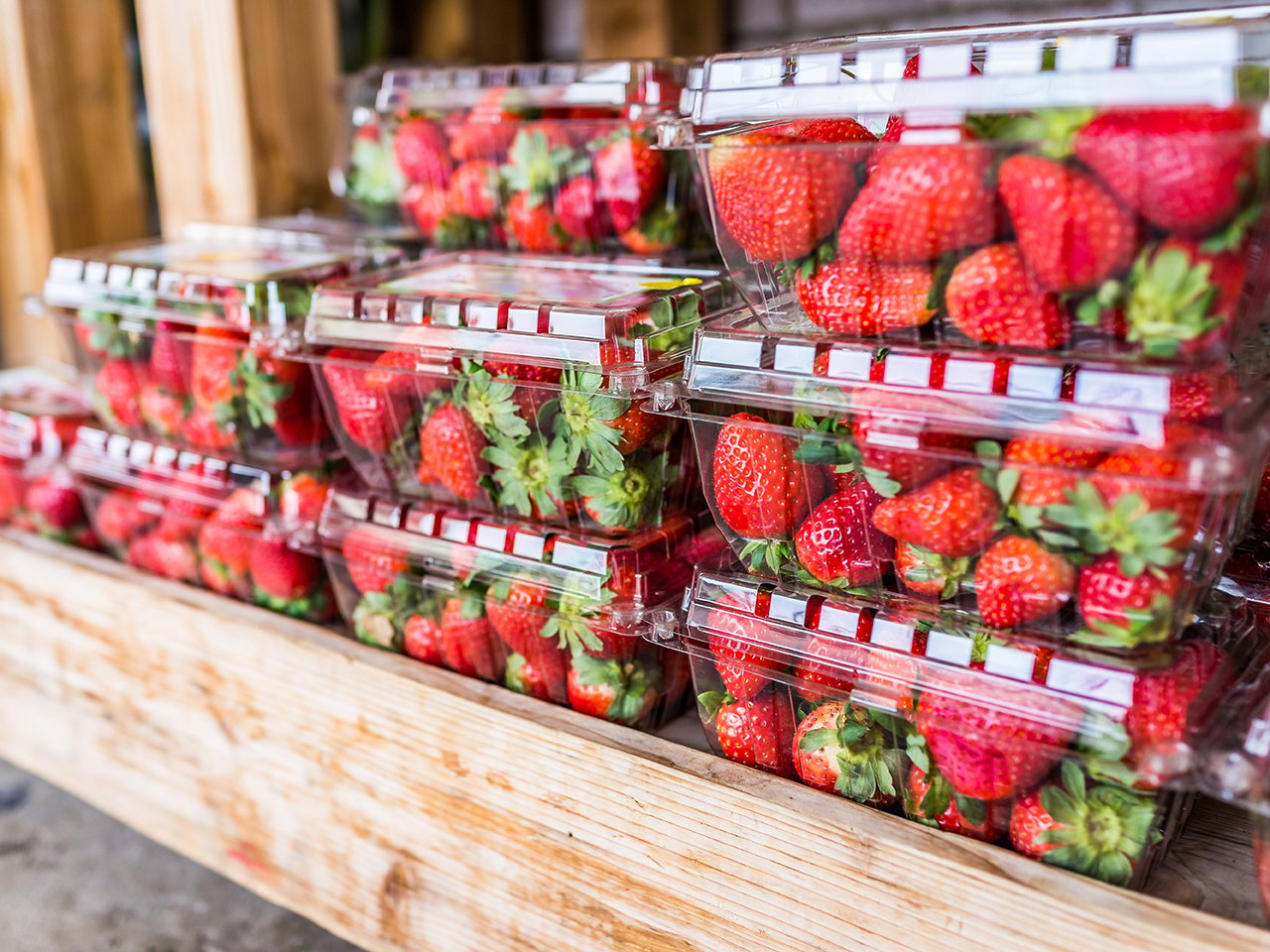 reuse single-use plastics: closeup of many strawberries in plastic clamshell boxes on display in wooden crate
