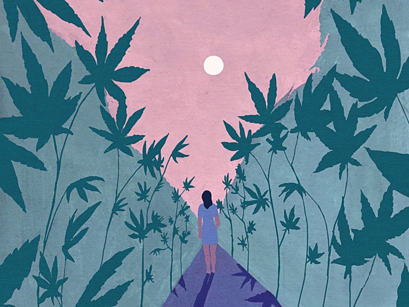illustration of a woman walking through a field of marijuana plants
