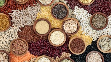 Dried pulses, grains, seeds and cereals.