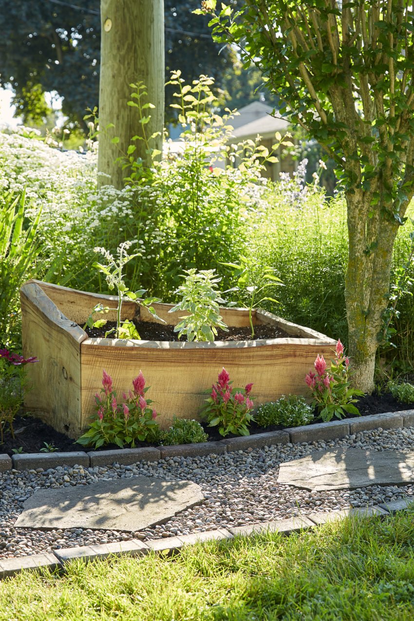 An image of a live-edge raised gardening bed