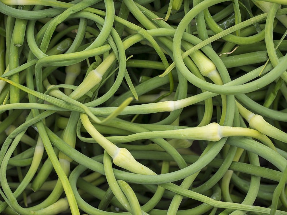 a close up of a bunch of fresh garlic scapes