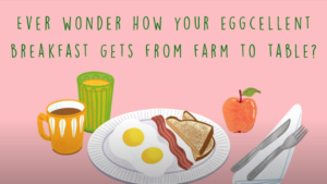 BC Egg Farm to Table
