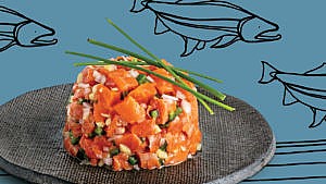 A photo of a round portion of Arctic char ceviche on a dark grey plate