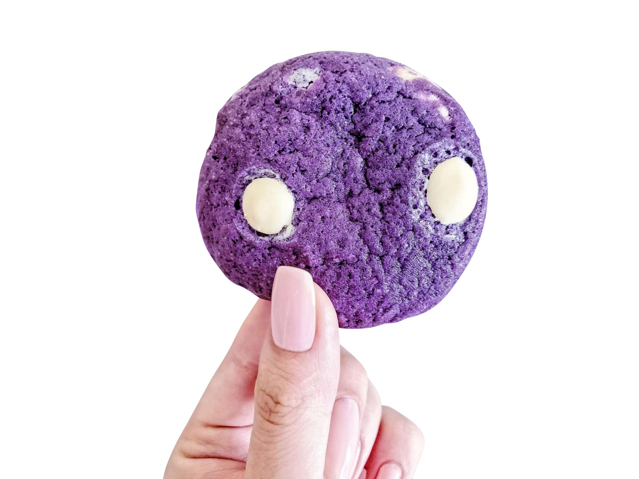 A closeup of part of a hand holding a purple cookie with white chocolate chips in it