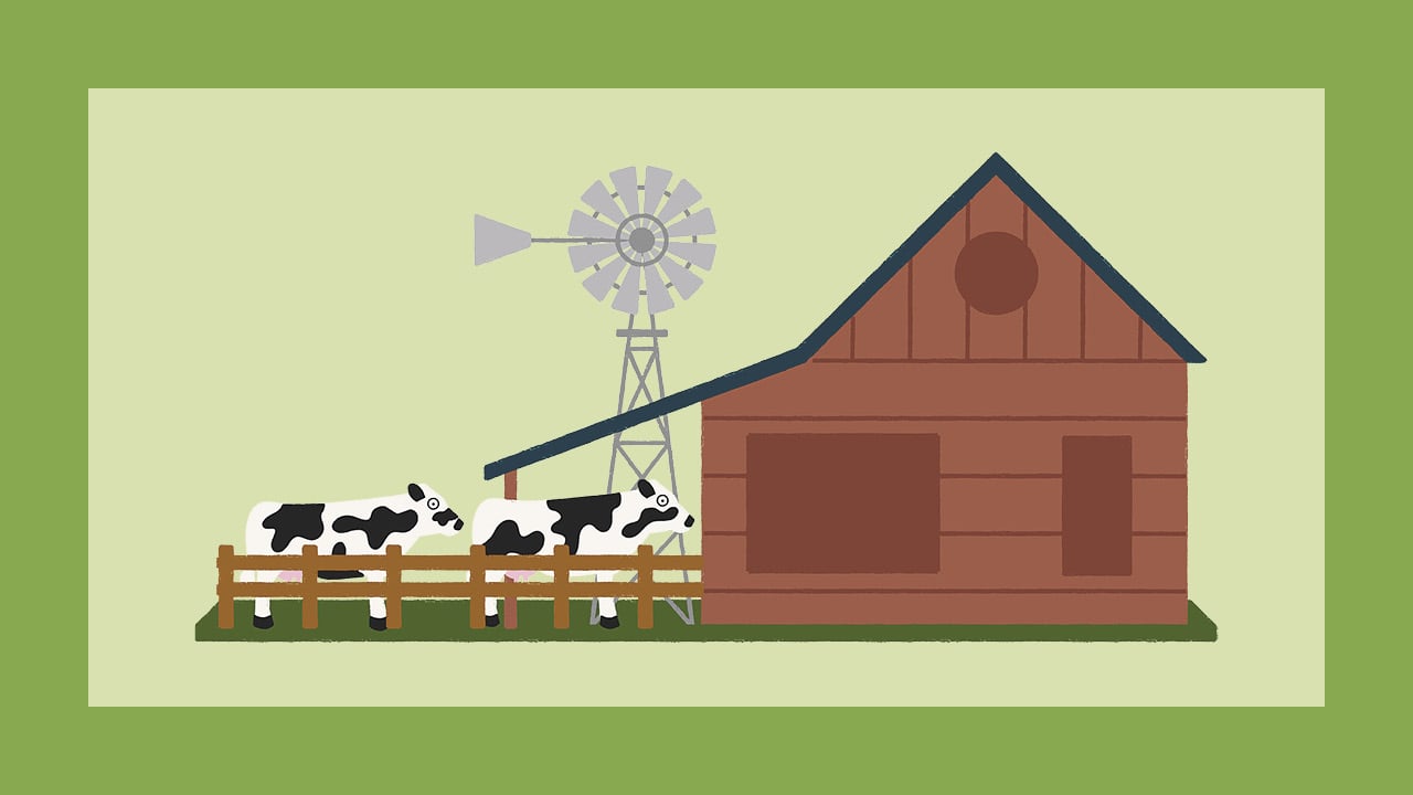 Green graphic with illustration of cows at a barn.
