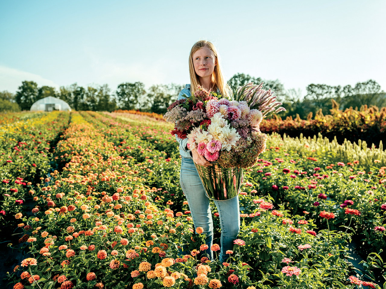 A woman holding a massive bucket of flowers in a field of dahlias