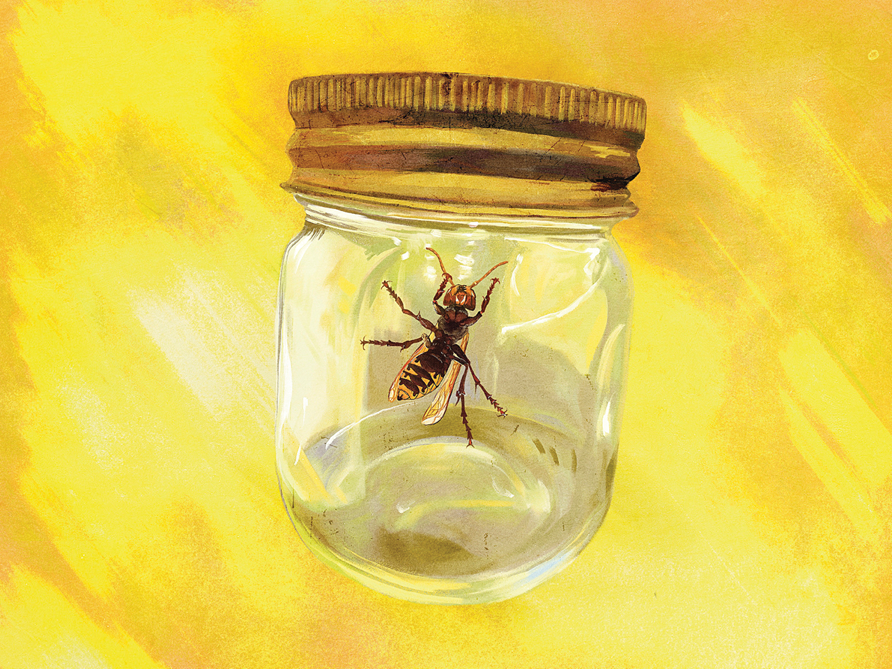 Illustration of a hornet in a mason jar