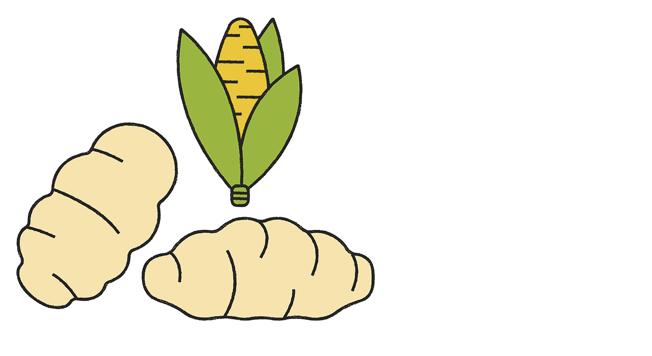 An illustration of corn gnocchi