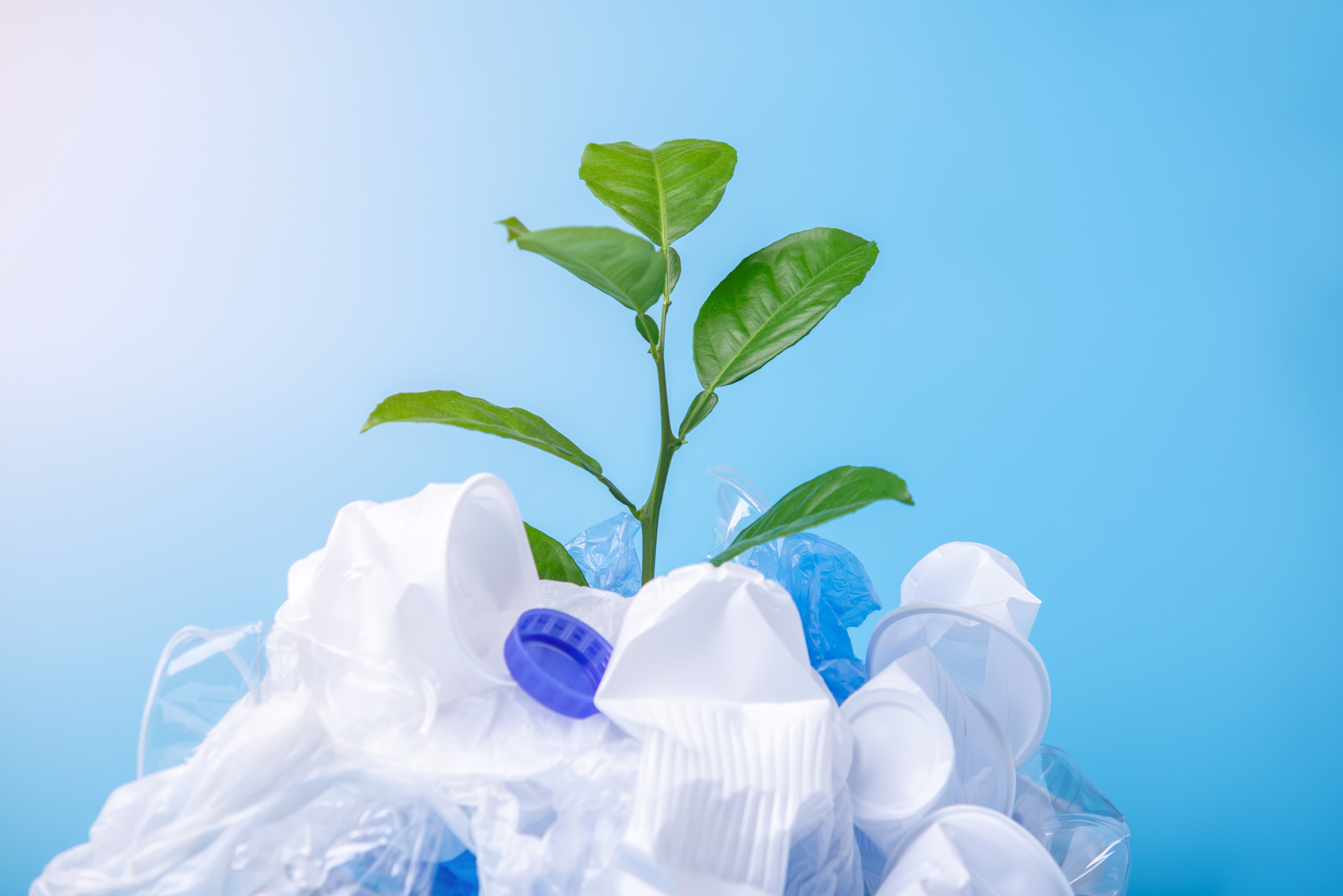 Green plant grows among plastic garbage. Bottles and bags on blue background. Concept of environmental protection and waste sorting.