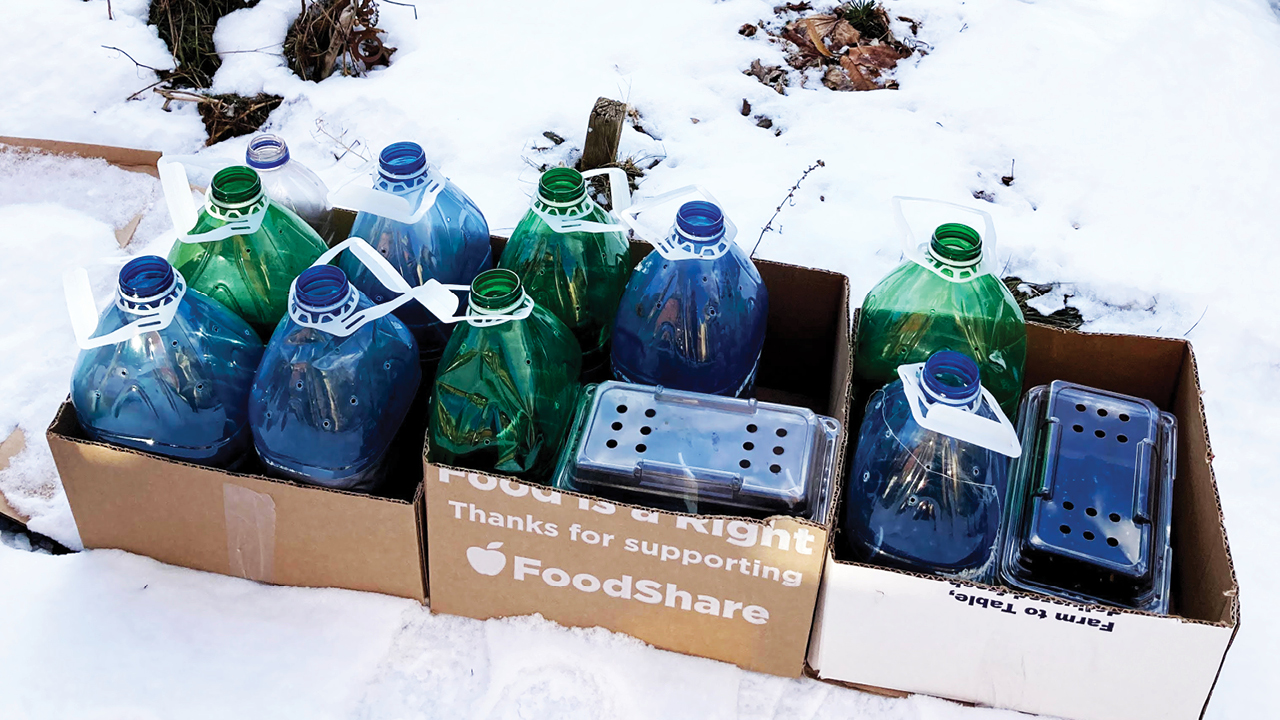 Three boxes in the snow, filled with empty, repurposed plastic bottles filled with dirt to start seeds for winter sowing