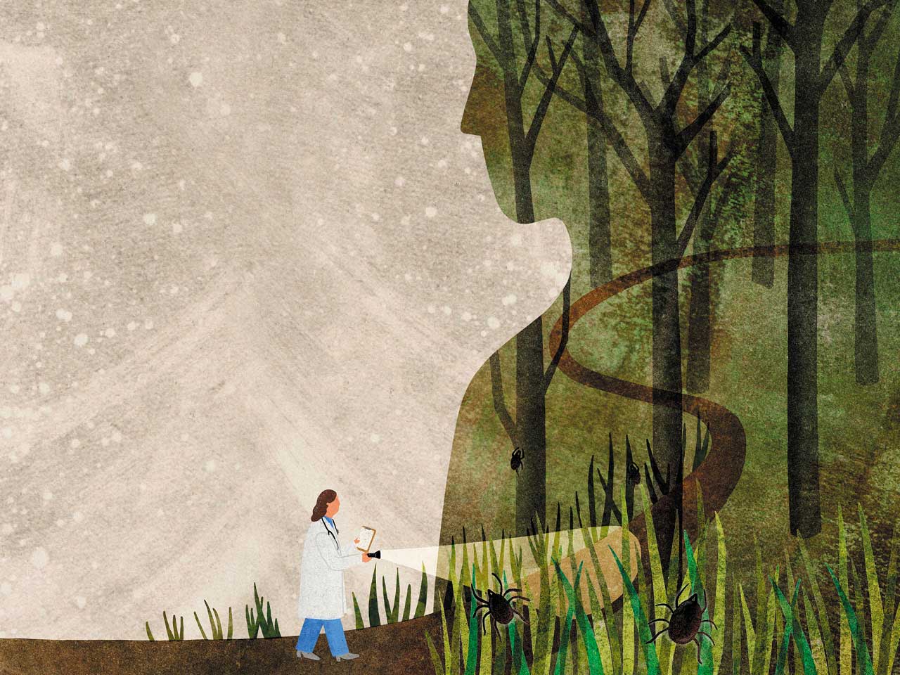 An illustration of a doctor heading into a forest with a flashlight, looking for ticks