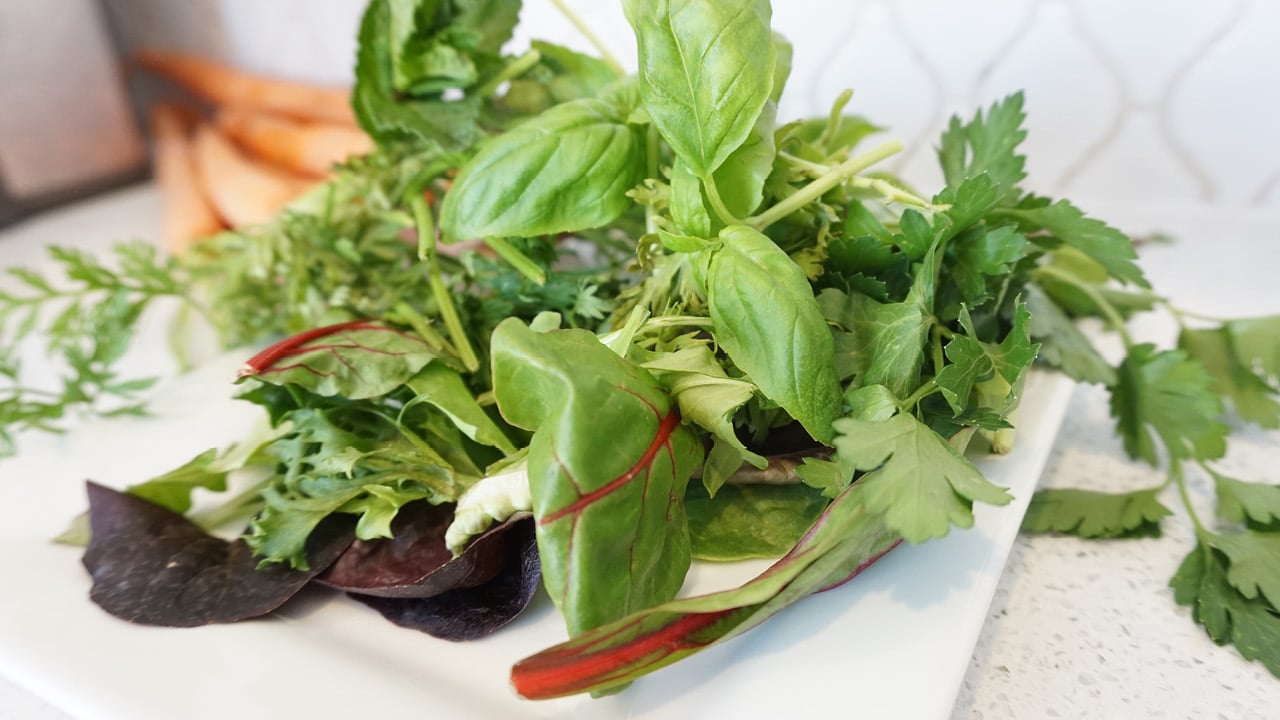 A closeup of a pile of herbs and spring greens like basil, parsley and baby spinach on a white square plate.
