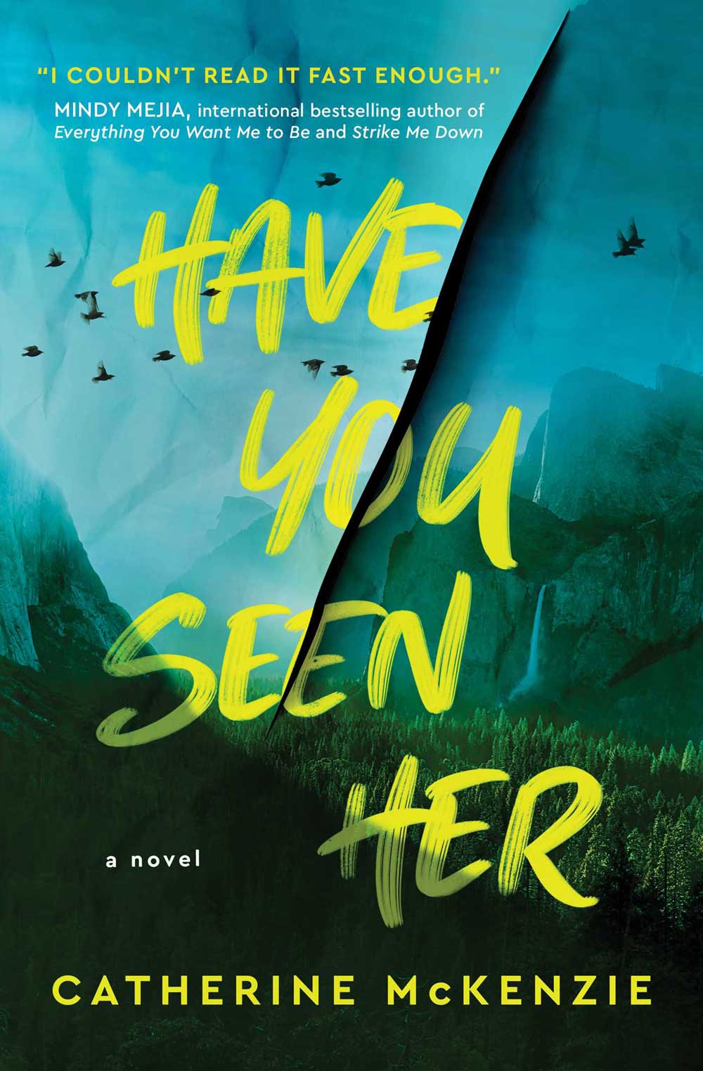 Book cover of Have You Seen Her. A landscape scene of the sky, mountains and trees.