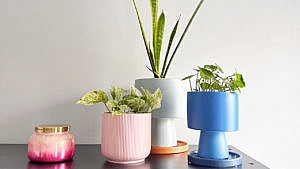 Three plant pots with green plants inside them sitting beside a pink candle on a dark tabletop. One is a textures pink plant pot, one is a light grey colour and the third one is blue.