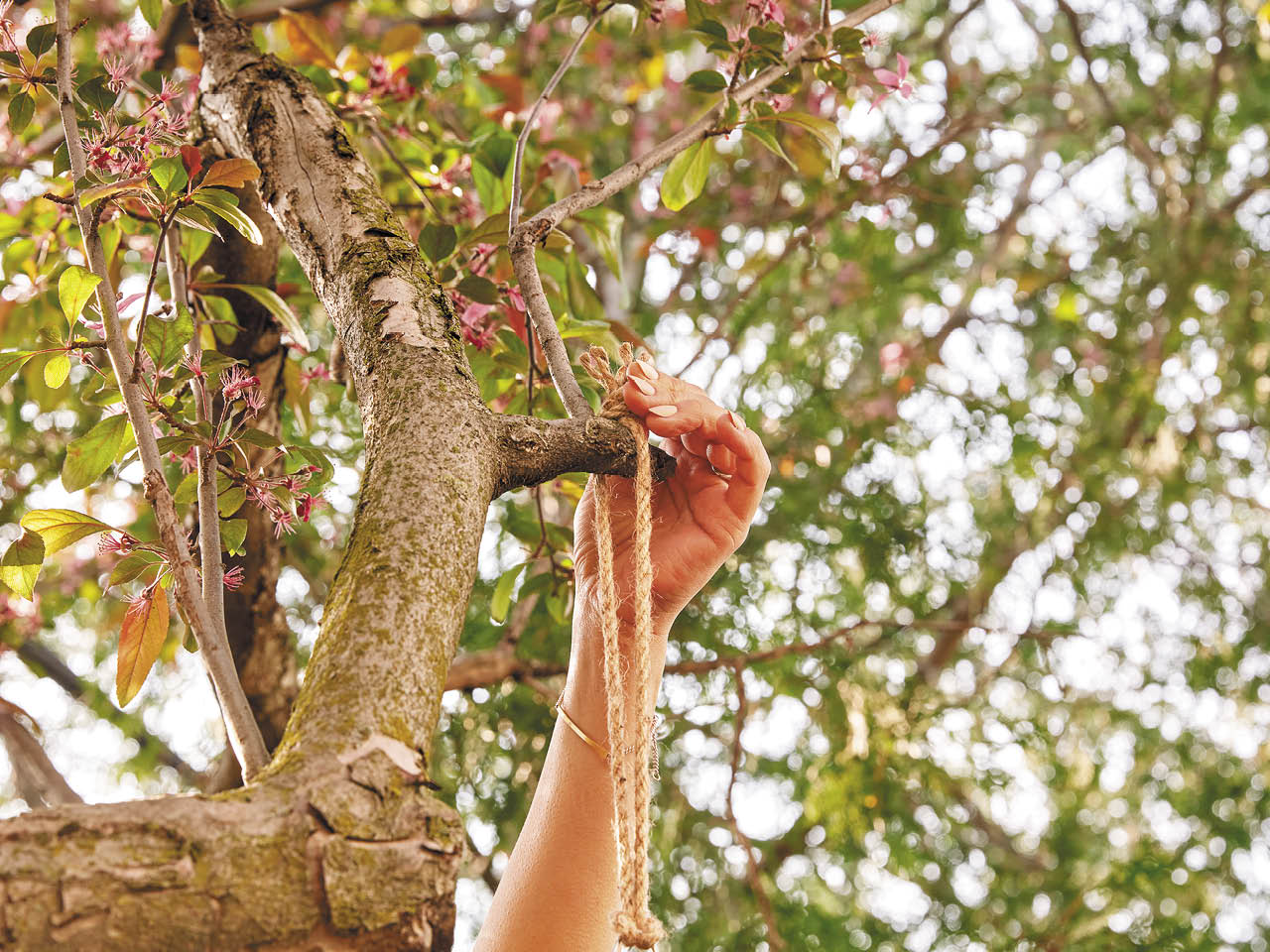 A hand seen close-up hanging a solar-powered outdoor pendant light from a tree branch.