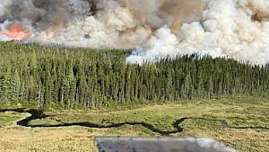 A wildfire burns in a forest near the town of Cochrane, Ont