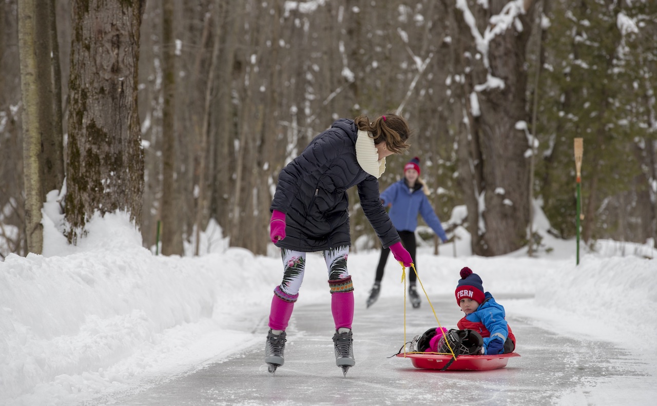 A woman pulling a little boy (who's sitting on a sled) with a girl following behind them, skating along a skating trail in the woods.